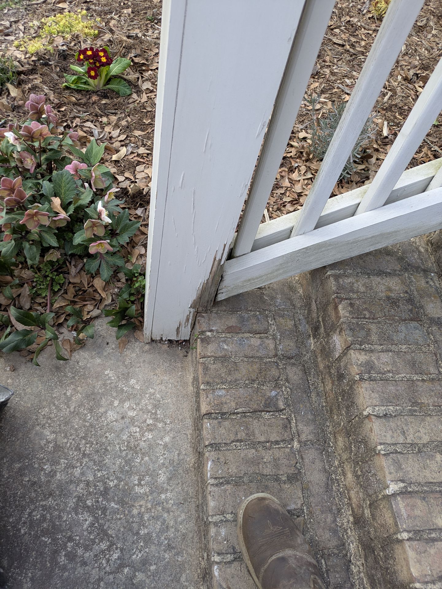 New trim boards around an exterior door in Normaltown